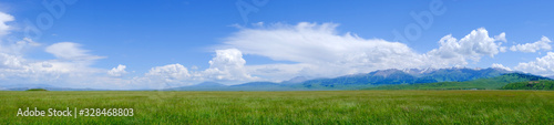 Panoramic landscape of green meadow with cloudy sky and mountains background. Beautiful meadow scenery. Adventure day. Mountain hiking. Mountain valley view. Spring season.