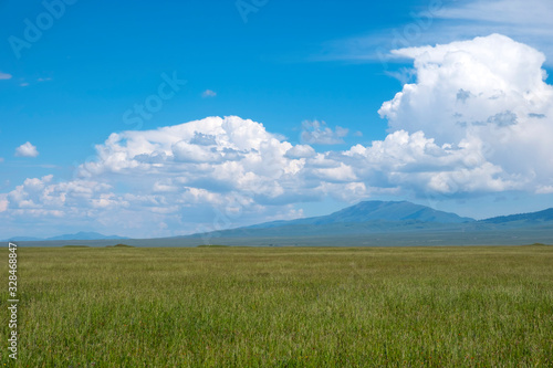 Green meadow with cloudy sky and mountains background. Beautiful meadow scenery. Adventure day. Mountain hiking. Mountain valley view. Spring season. 