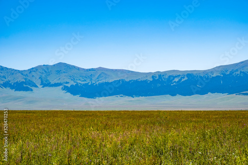 Beautiful green meadow with mountains and blue sky background, great design for any purposes. Beautiful landscape, grass. Colorful spring landscape. Mountain green hill valley landscape.