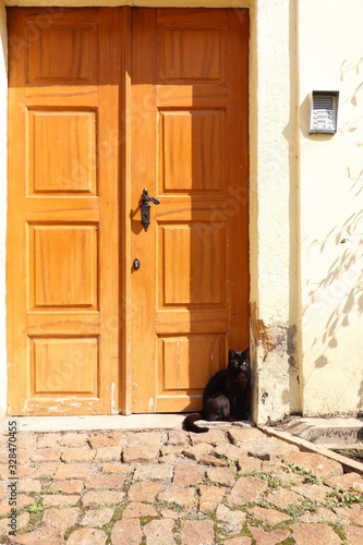 Black cat sitting in front of the wooden door