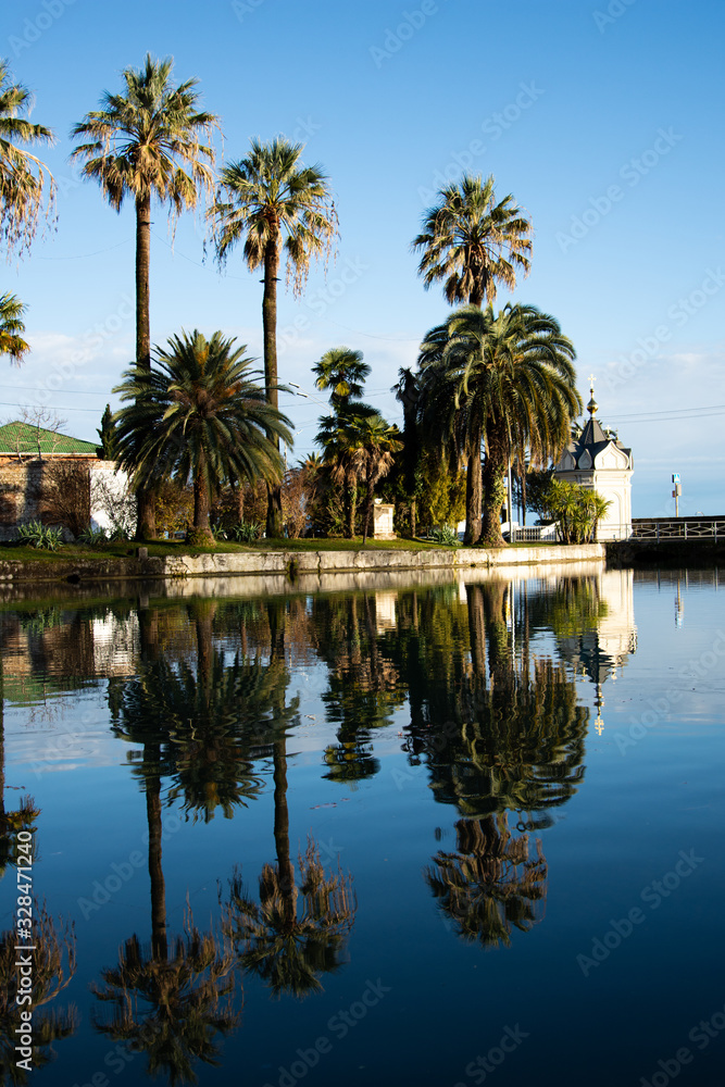 Obraz premium Tall palm trees by the lake. 