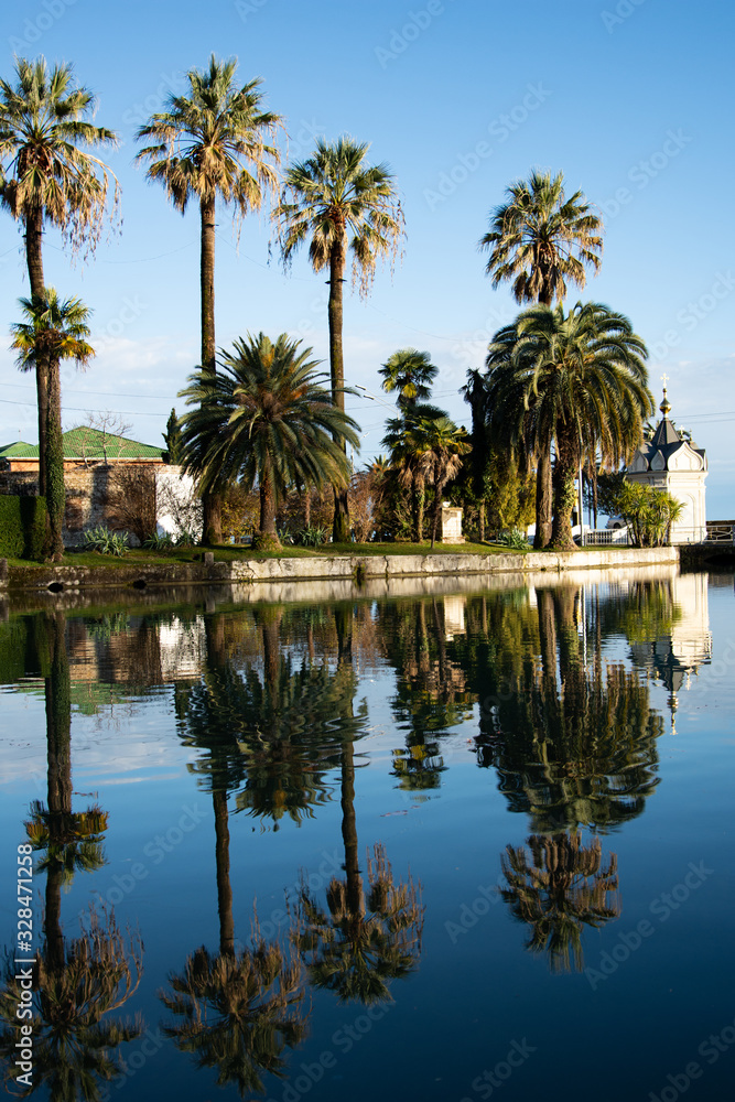 Tall palm trees by the lake. Tall palm trees by the lake.