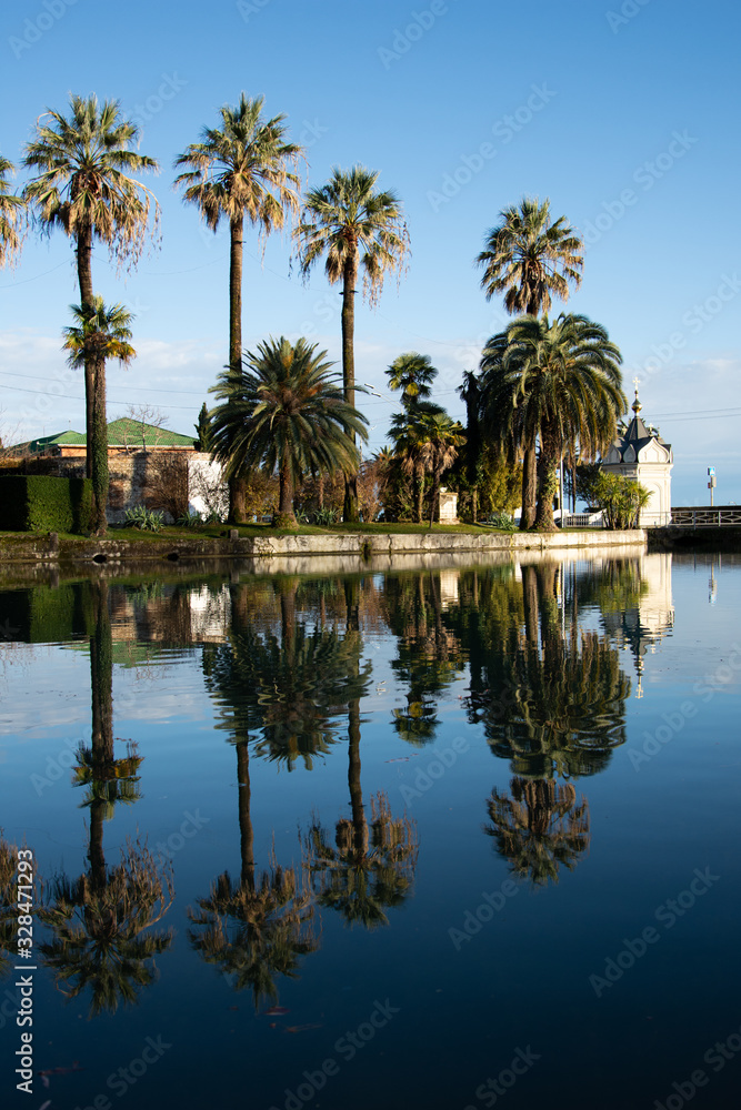 Obraz premium Tall palm trees by the lake. 