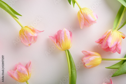 Fototapeta Naklejka Na Ścianę i Meble -  flower arrangement of pink tulips on white background
