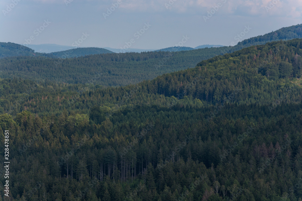 Landscape with forested mountains. Green surface from treetops.