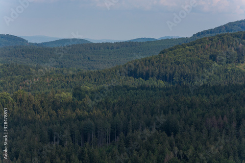 Landscape with forested mountains. Green surface from treetops.