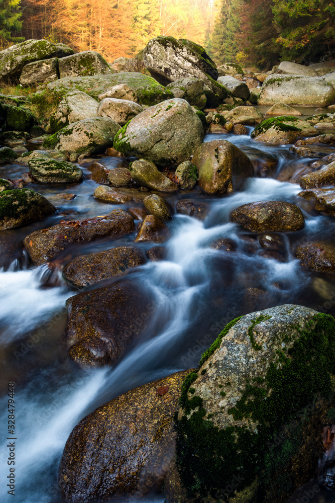 Morning in the forest. River flow through the forest. Stream of water flows between rocks. Morning in the forest. River flow through the forest. Stream of water flows between rocks.