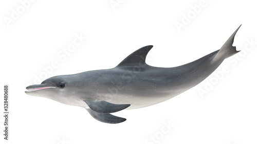 Obraz na plátně Isolated bottlenose dolphin tail up side profile view on white background cutout