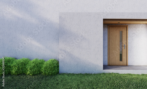 In front of modern house entrance door with Lawn and Shrub . 3D illustration photo