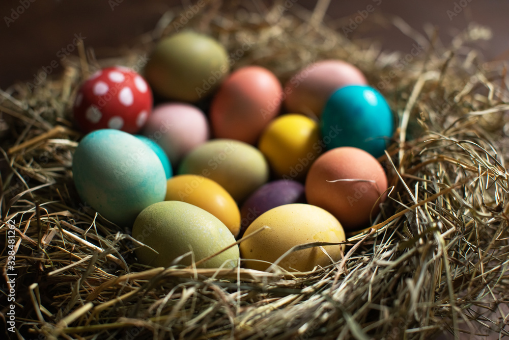Happy Easter! Colorful easter eggs in a nest