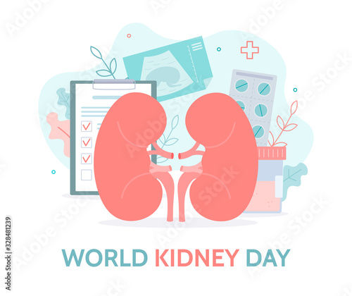 World kidney day. Checking kidney health. Necessary tests and ultrasound of the kidneys. Medical concept. Flat vector.