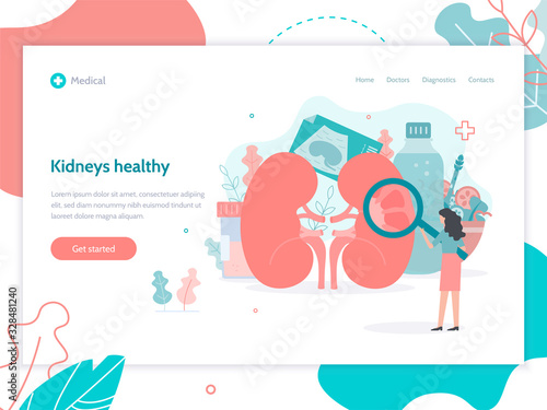 Checking kidney health. Urine analysis, kidney ultrasound, water and diet. Web page design template. Medical flat vector.