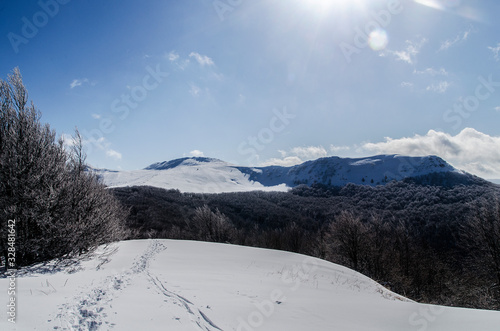 Fototapeta Naklejka Na Ścianę i Meble -  Bieszczady zimą połoniny