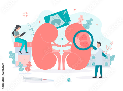 The health of the kidneys. Treatment of pyelonephritis. Medical concept. Flat vector illustration.