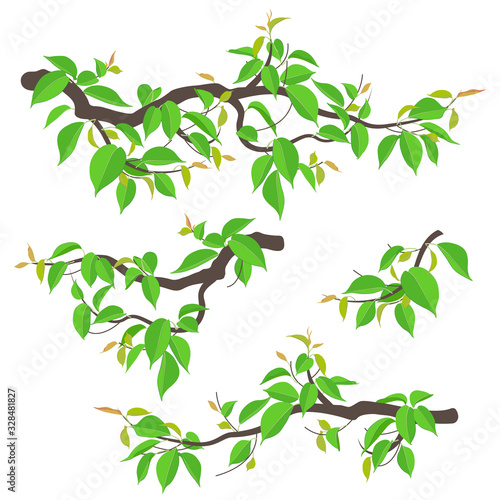 Tree Branches Set Vector Flat