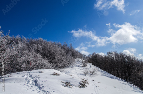 Fototapeta Naklejka Na Ścianę i Meble -  Bieszczady zimą połoniny