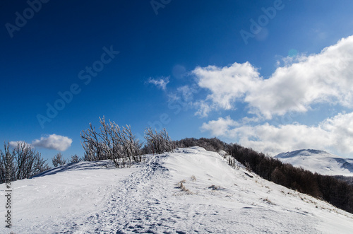 Fototapeta Naklejka Na Ścianę i Meble -  Bieszczady zimą połoniny