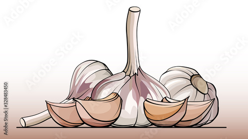 Vector simple illustration a group of bulb garlic with cloves on a line (side view).