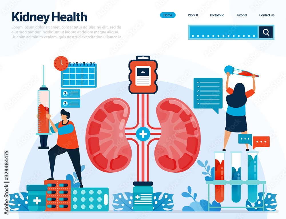 illustration for checking kidney health. diseases and disorders of kidney. checking and handling for internal organs. designed for landing page, template, ui ux, website, mobile app, flyer, brochure