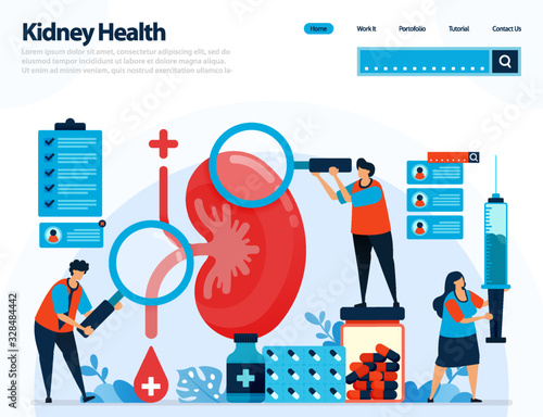 illustration for checking kidney health. diseases and disorders of kidney. checking and handling for internal organs. designed for landing page, template, ui ux, website, mobile app, flyer, brochure