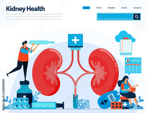 illustration for checking kidney health. diseases and disorders of kidney. checking and handling for internal organs. designed for landing page, template, ui ux, website, mobile app, flyer, brochure