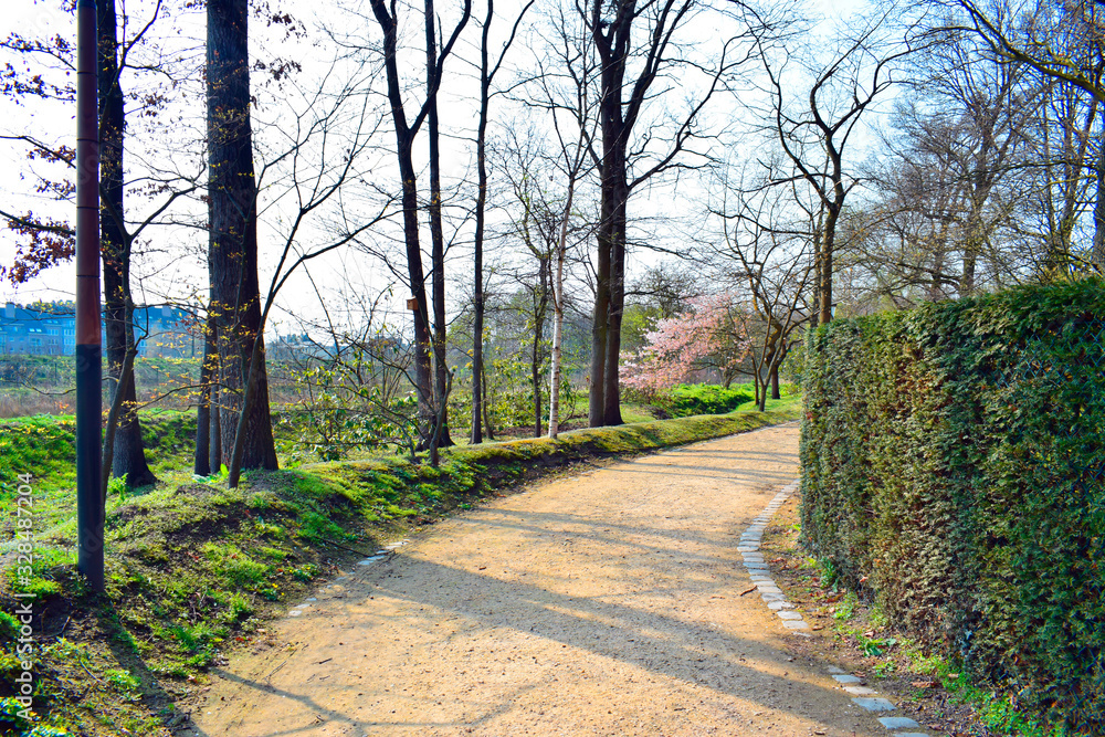 Beautiful view of the walkway and the colorful of the trees nature background in the garden at spring season. Natural and traveling concept. Beautiful view of the walkway and the colorful of the trees nature background in the garden at spring season. Natural and traveling concept.