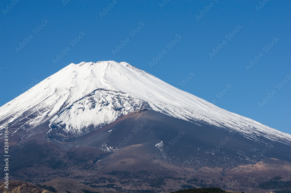 裾野市から見た富士山