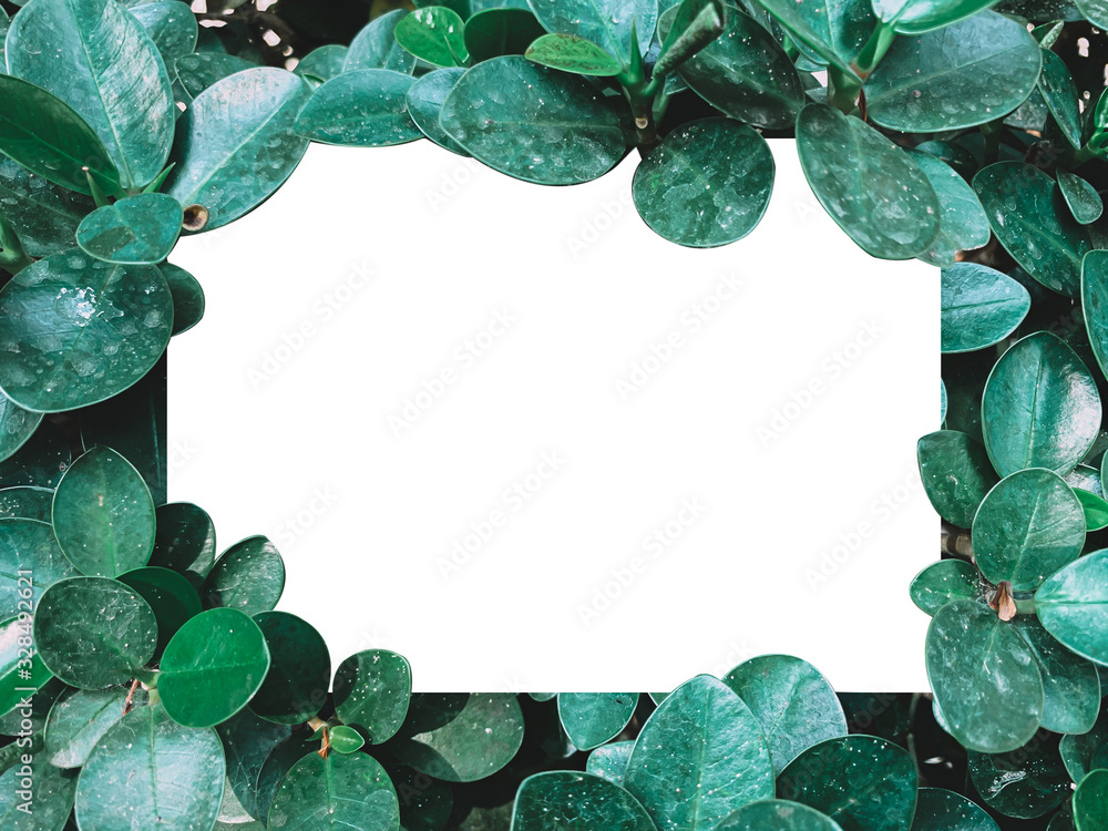 Fototapeta premium Creative layout made of tropical leaves with paper card note. Flat lay.