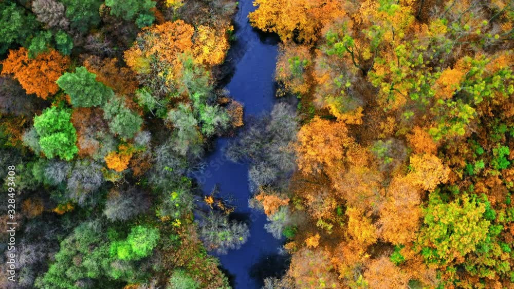Top view of blue river and yellow forest, aerial view Top view of blue river and yellow forest, aerial view