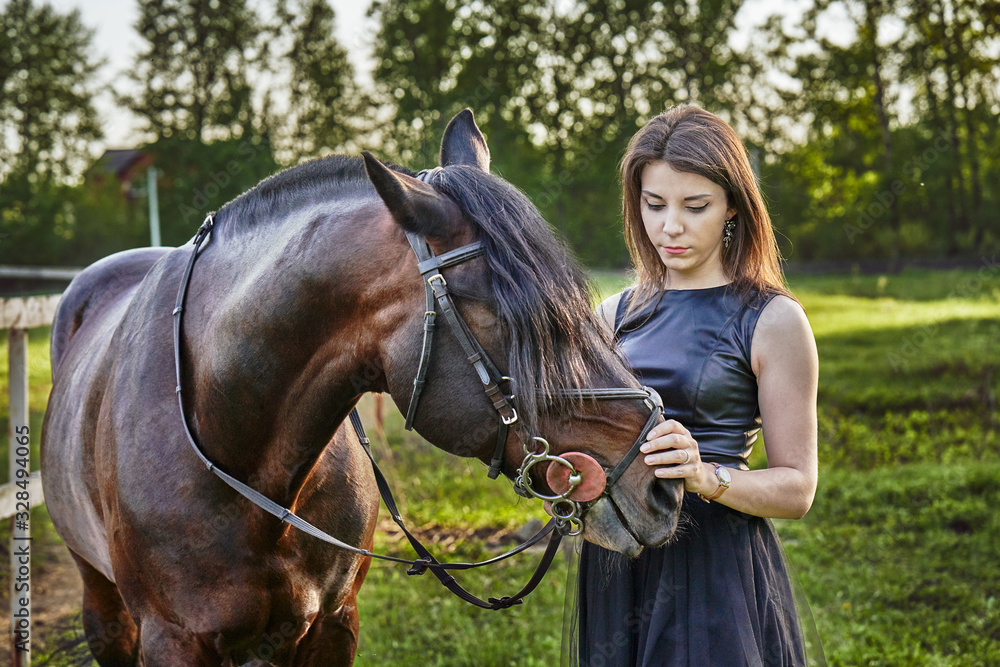 Obraz premium A young brunette woman in a black dress communicates with a dark brown horse on a sunny summer evening. Evening walk with a horse. Close-up.