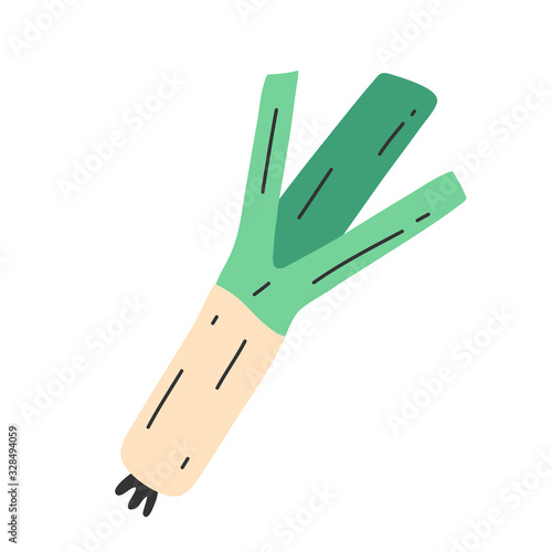 Leek onion icon, isolated vector illustration of green lekk stem with leaves, healthy vegetable, salad ingredient, hand drawn doodle style