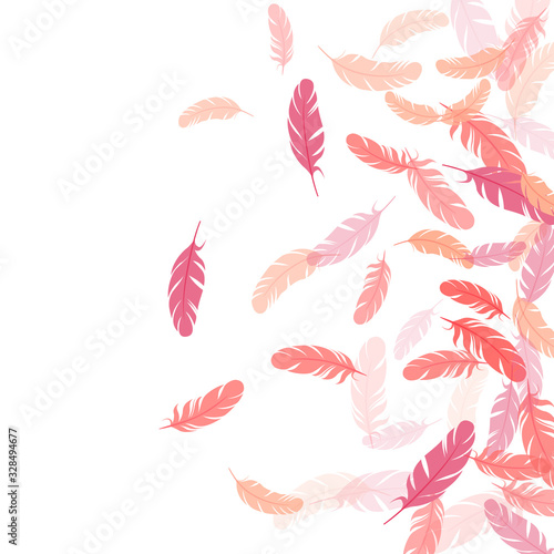 Falling feather elements soft vector design.