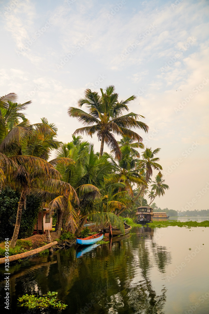 Fototapeta premium drzewa kokosowe nad jeziorem, wieczorny widok w Kerali