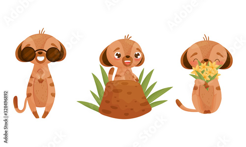 Cute Puppy Wearing Sunglasses and Holding Bunch of Flowers Vector Set.