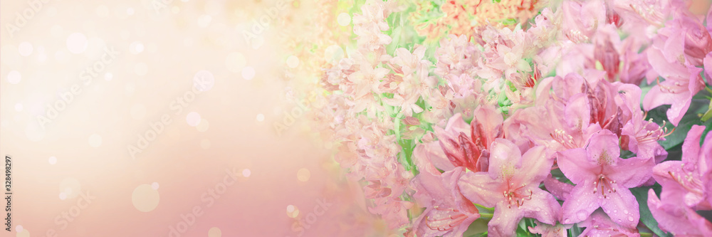 Spring abstract diffuse background with pink sky and branches of blooming flowers