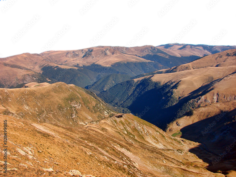 Fototapeta premium Landscape of forest on the mountain
