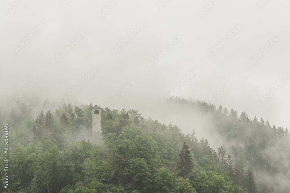 Views of the green forest with fog and rain, Black Forest, Germany. Triberg.