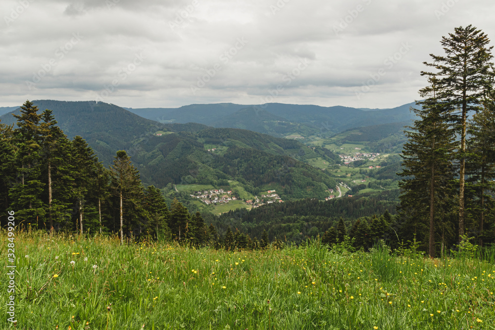 Obraz premium Nice panoramic landscape of the black forest region, Germany. Schwarzwald.