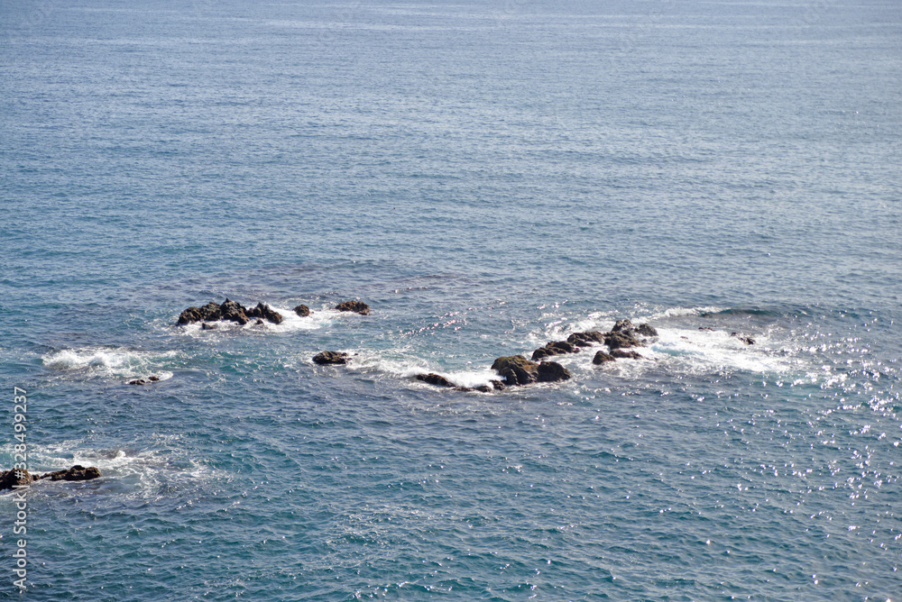 Obraz premium seagulls on the beach