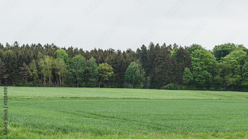 Nice landscape of the Rheinland-Pfalz area in Germany. Green meadows and plains.