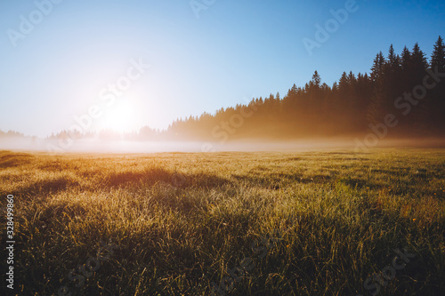 Fantastic misty pasture in the sunlight. Locations place Durmitor National park  Montenegro.