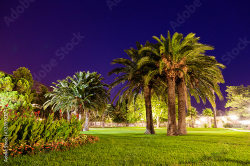 Evening view of the square with palm trees.