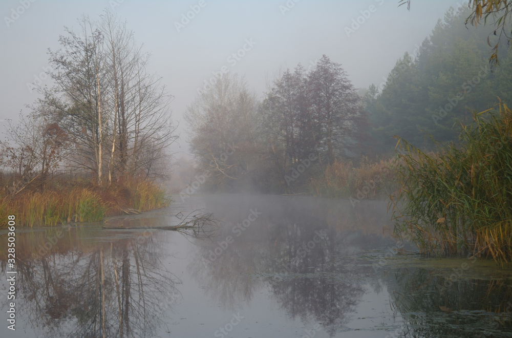 River landscape and autumn wood