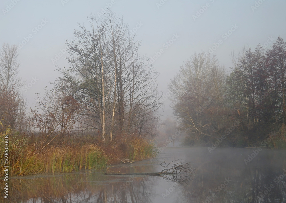 River landscape and autumn wood River landscape and autumn wood