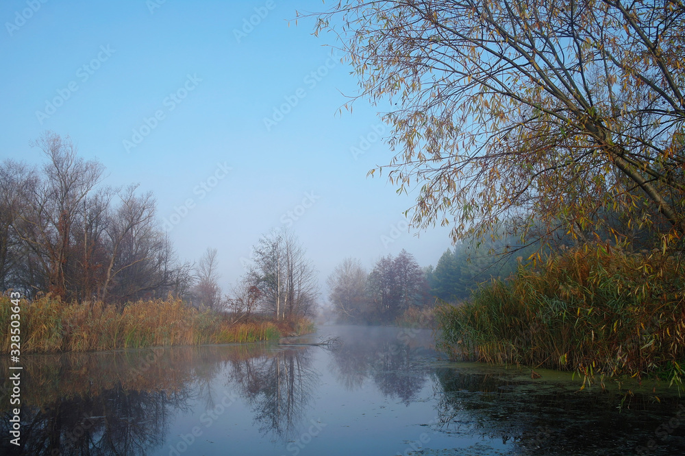 River landscape and autumn wood