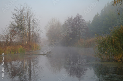 Obraz na płótnie River landscape and autumn wood w salonie