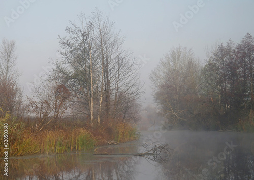 Obraz na płótnie River landscape and autumn wood w salonie