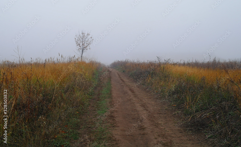 autumn landscape with fog and the road