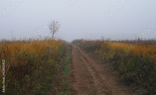 autumn landscape with fog and the road