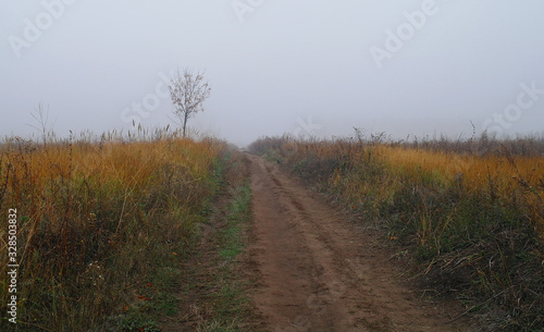 Obraz na płótnie autumn landscape with fog and the road w salonie